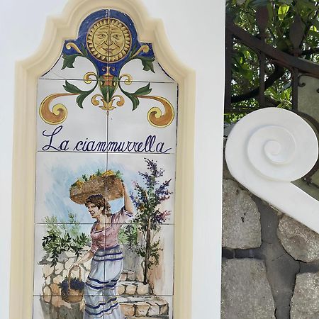 B&B La Ciammurrella Anacapri  Exteriér fotografie