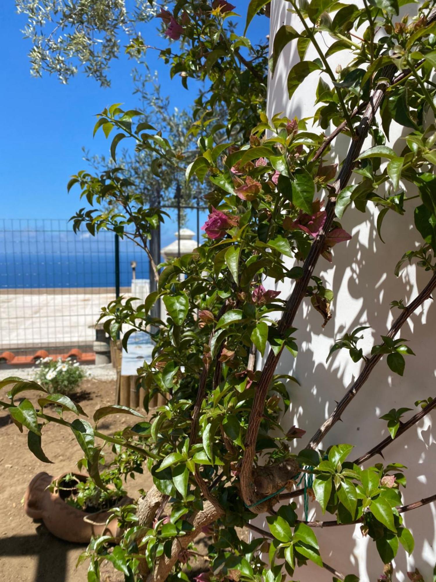 B&B La Ciammurrella Anacapri  Exteriér fotografie