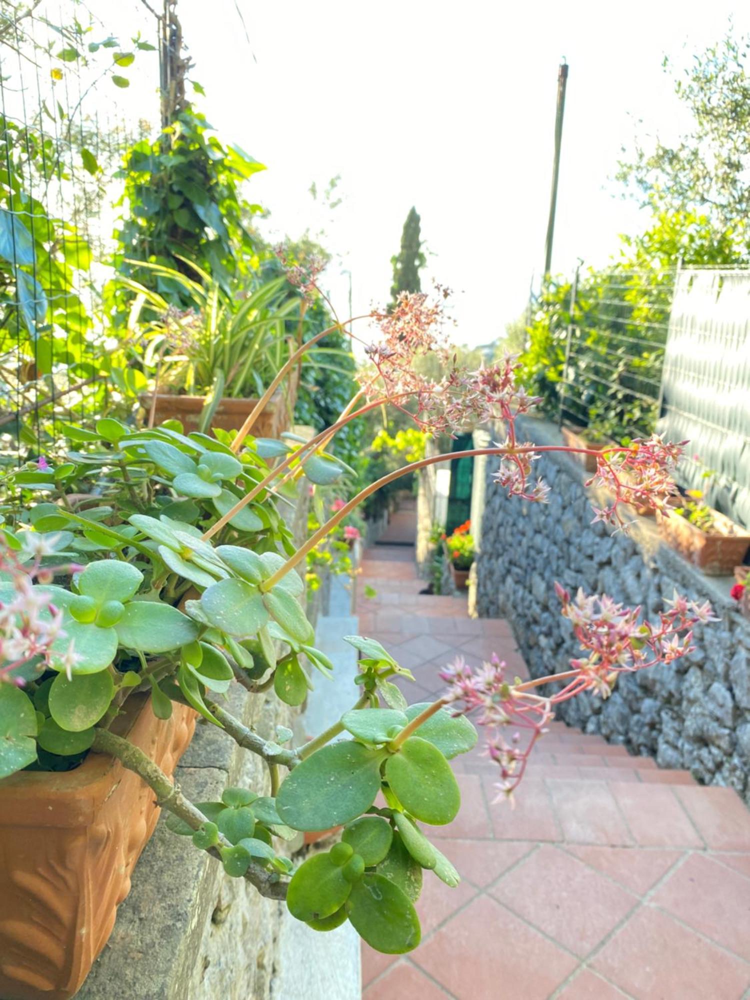 B&B La Ciammurrella Anacapri  Exteriér fotografie